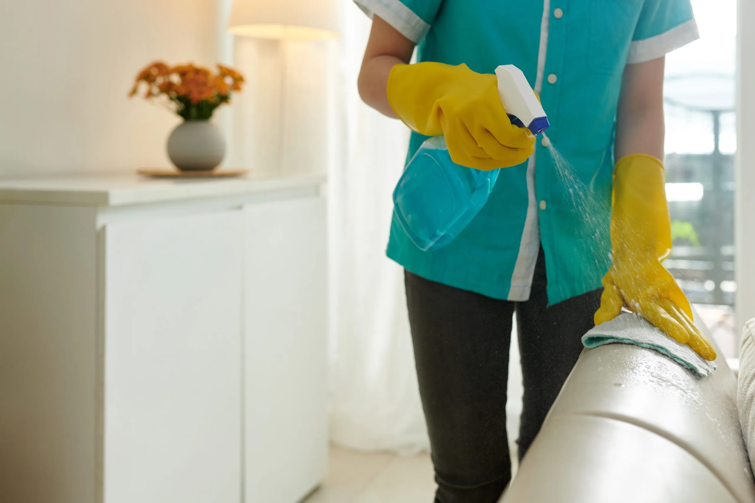 Residential cleaning osoyoos, example 3